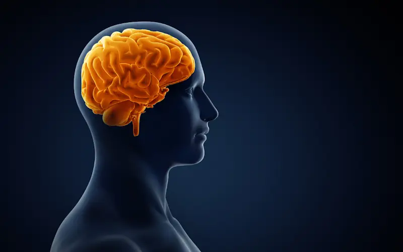 The Mental Benefits of Balancing Powerlifting and Bodybuilding Workouts