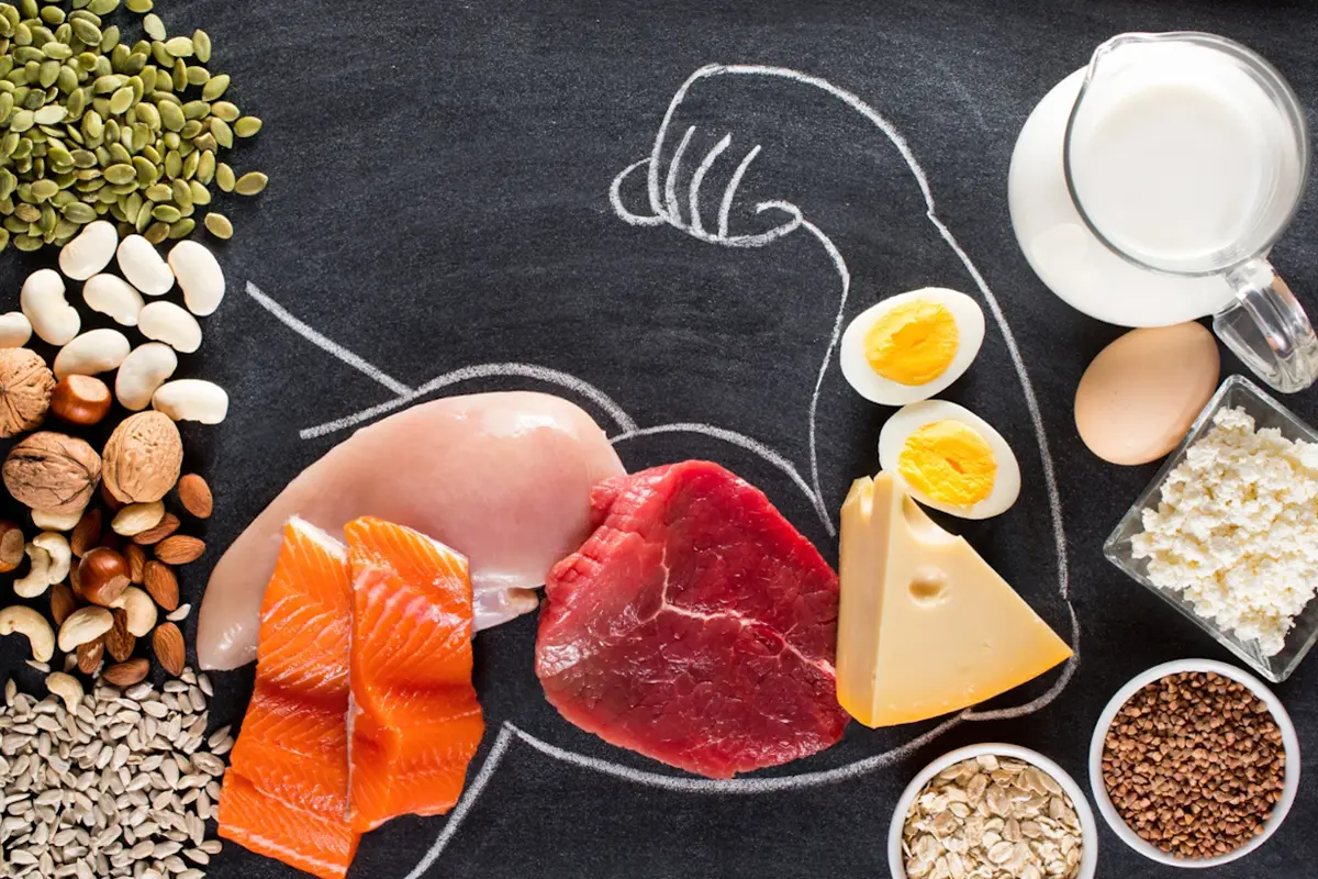 Protein sources