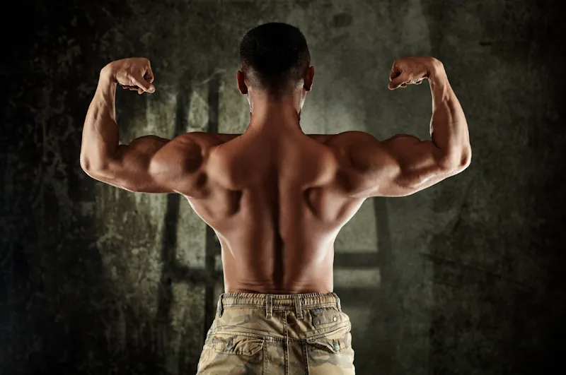 Strengths of the Program