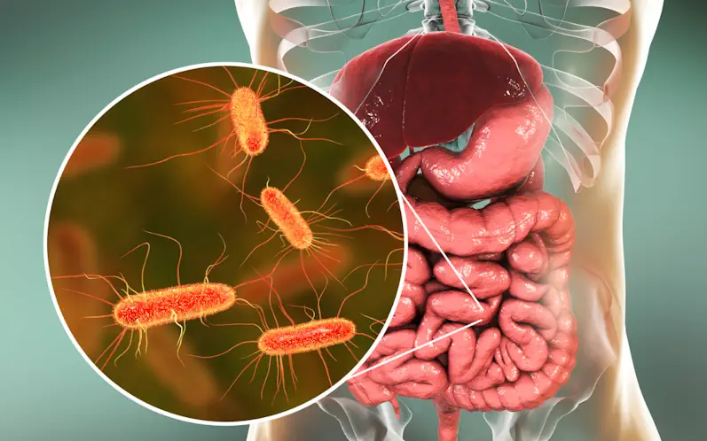 Unveiling the Gut Microbiome: The Foundation of Athletic Strength and Recovery