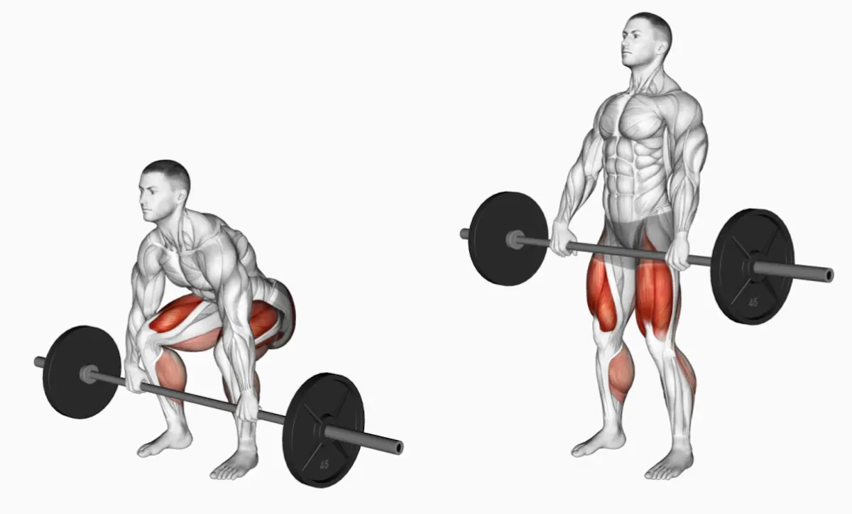 muscle activation during deadlift with and without straps illustration