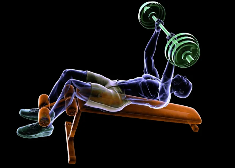 Anatomy of the Decline Bench Press