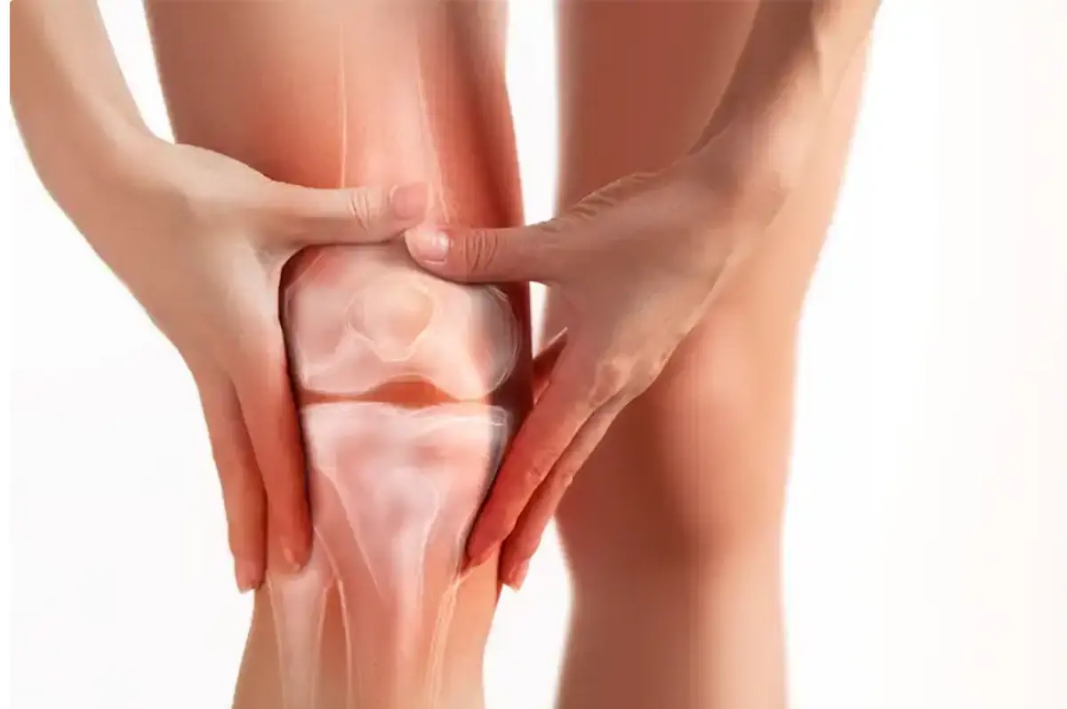 Knee joint