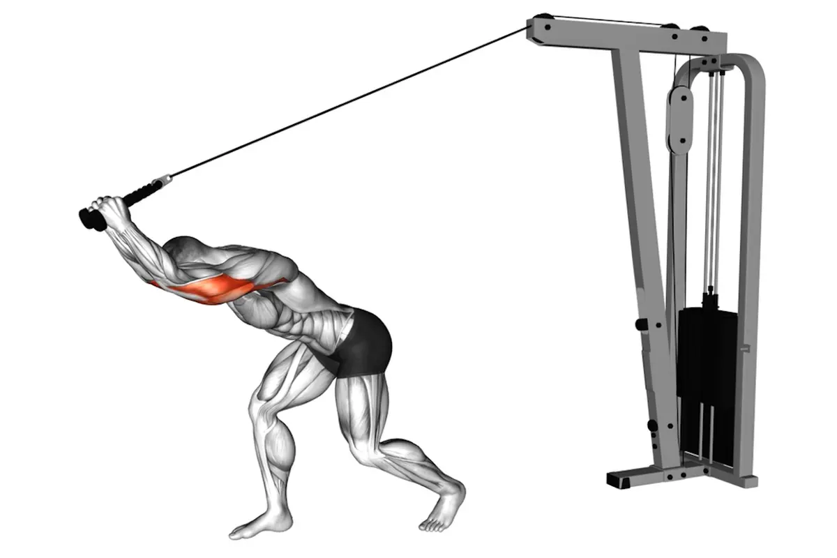 Cable Machine Overhead Tricep Extension Benefits