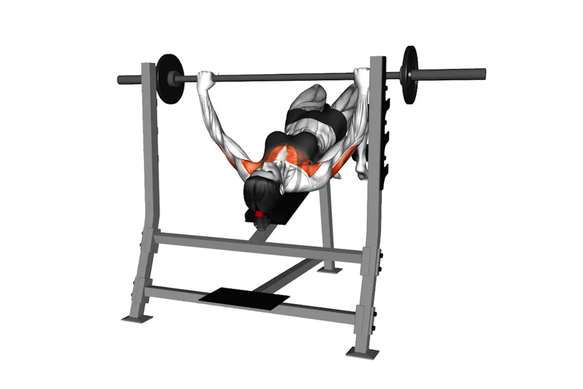 Why You Should Include Decline Bench Press in Training