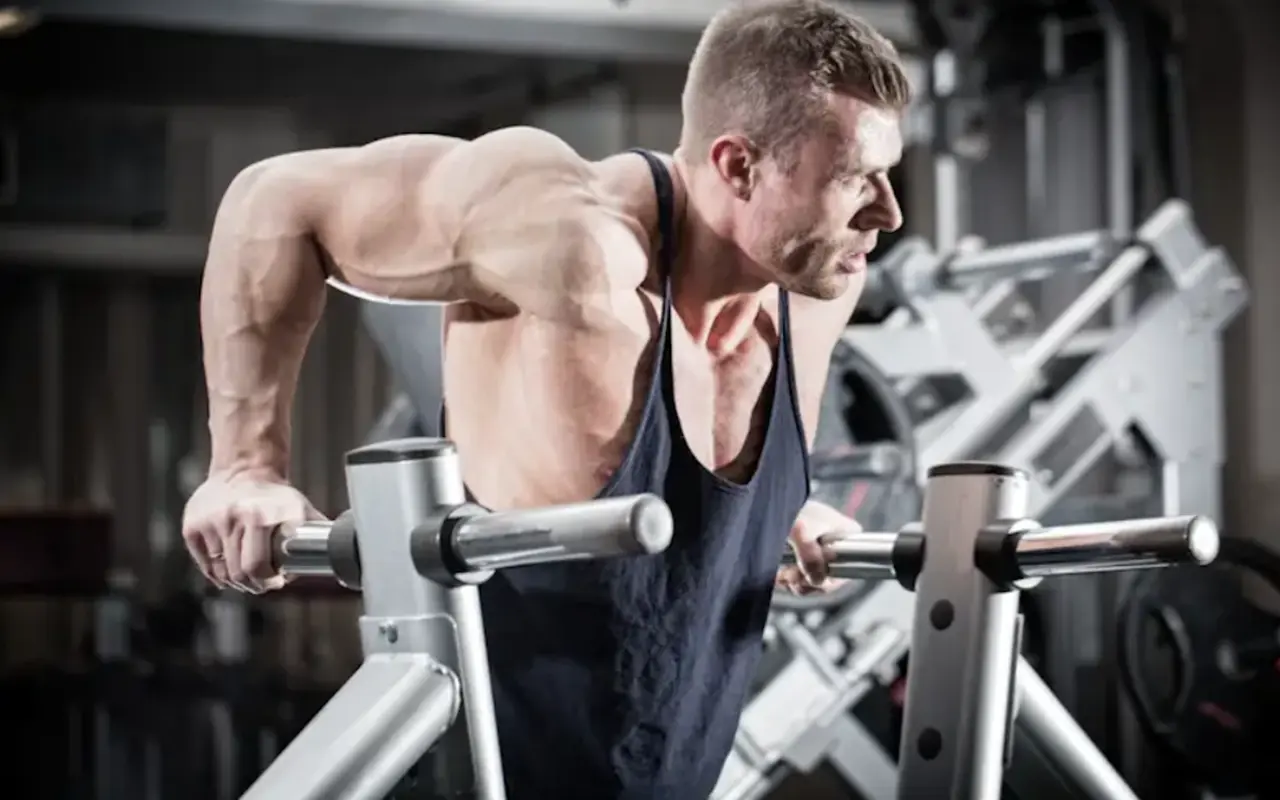 Tricep Dip Machine vs Dips